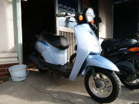 トゥデイ TODAY AF61