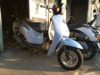 �g�D�f�C TODAY AF61